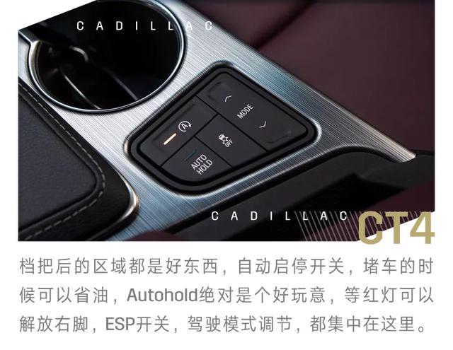 一起恰柠檬！谁不想要这样又惊又喜的提车仪式