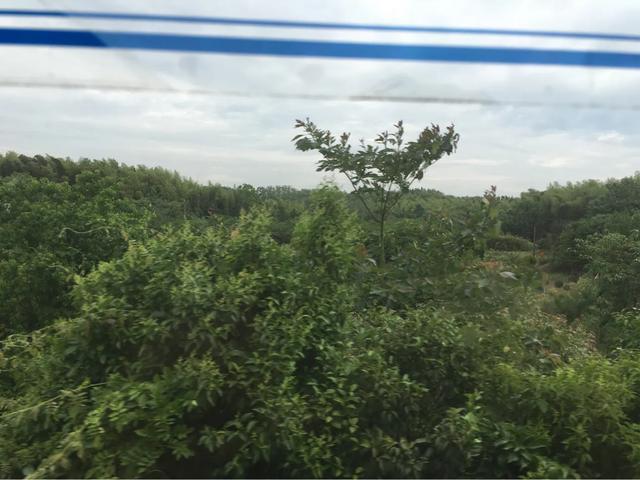 老款60提车记