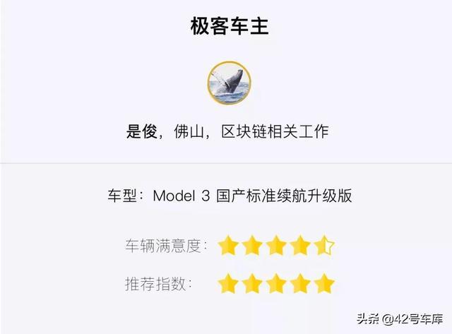 我为什么选择国产 Model 3？这三位车主这样说 | 车主口碑