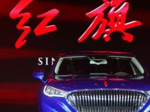 喜提红旗H5第一天就撞电线杆，挪车后，车主：我没看错吧？