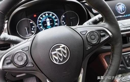 家里有新成员加入，昂科威同学