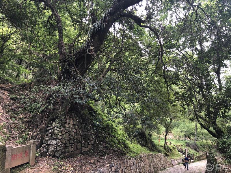 车友游梅关古道，体验徒步出省。
