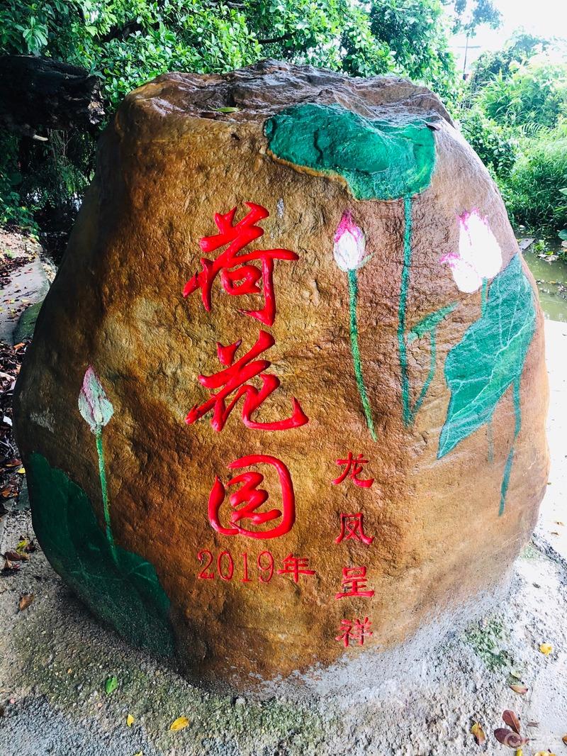 【宝马X1用车汇】车友聚会之台山市荷花园
