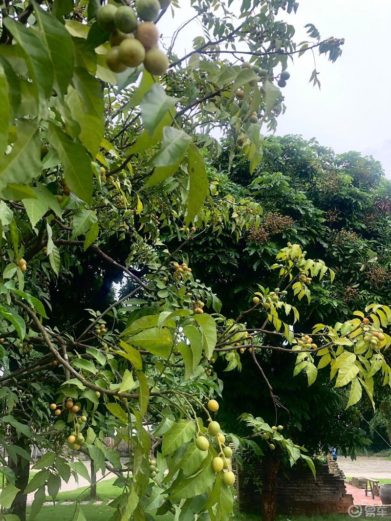 【宝马X1用车汇】车友聚会之台山市荷花园