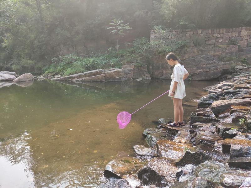 【中原精彩一夏】炎热酷暑  戏水洛阳龙潭峡