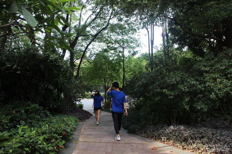 千灯湖旁的车友聚会 易起乐