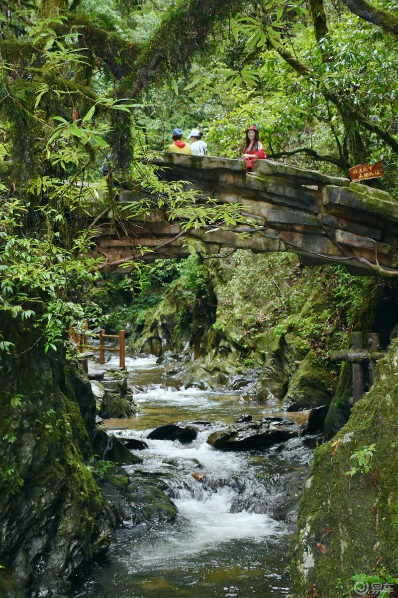 【易夏-彩云南】避暑圣地哀牢山