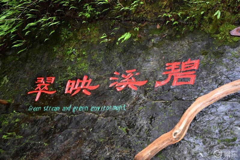 【易夏-彩云南】避暑圣地哀牢山