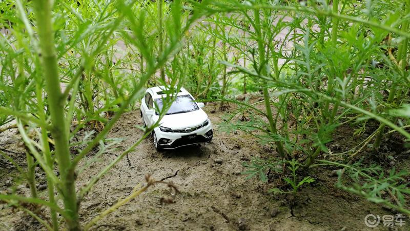 【提车作业】6万公里东南DX3提车用车分享