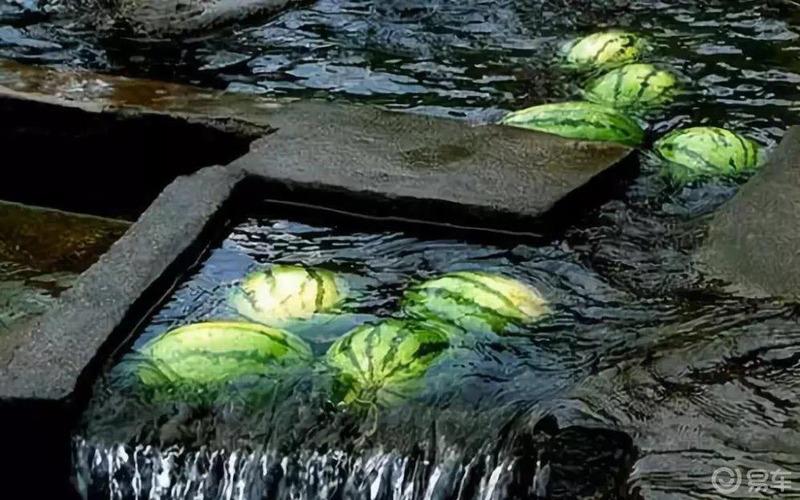 炎炎夏日，为你的有车生活支招