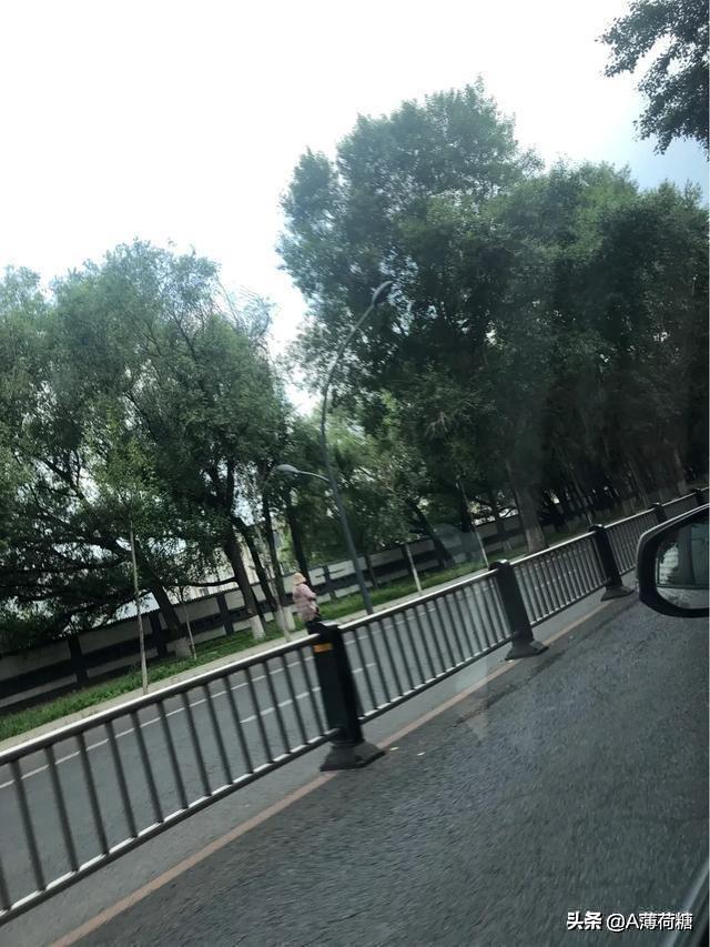 80后人生第一部车，荣放2.0风尚版