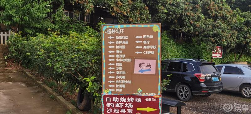 【炎炎七月，激情一夏】广汽分舵踩点记
