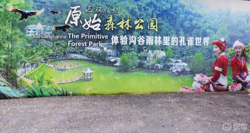 【迈腾自驾游】去西双版纳，感受异域风情，傣族文化。