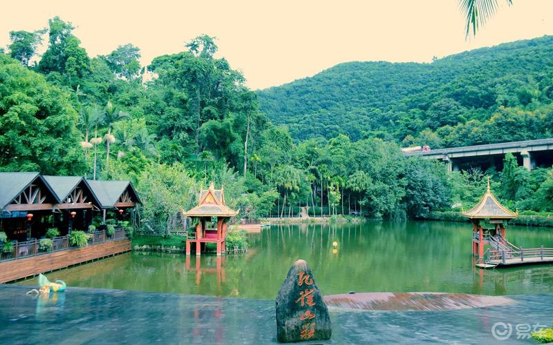 【迈腾自驾游】去西双版纳，感受异域风情，傣族文化。
