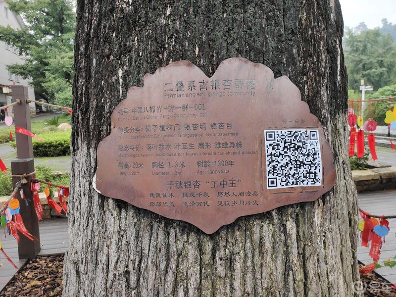 长兴自驾游-星途上海车友会