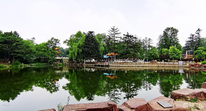 【萌娃秀场】又是一年假期到，神兽出笼0_0
