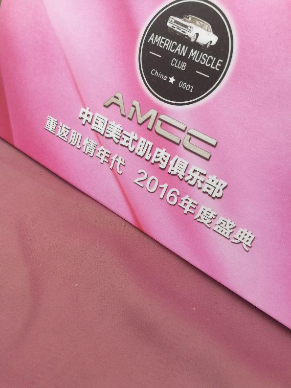 我的野马，伴随爱情诞生，伴随着爱情陨灭