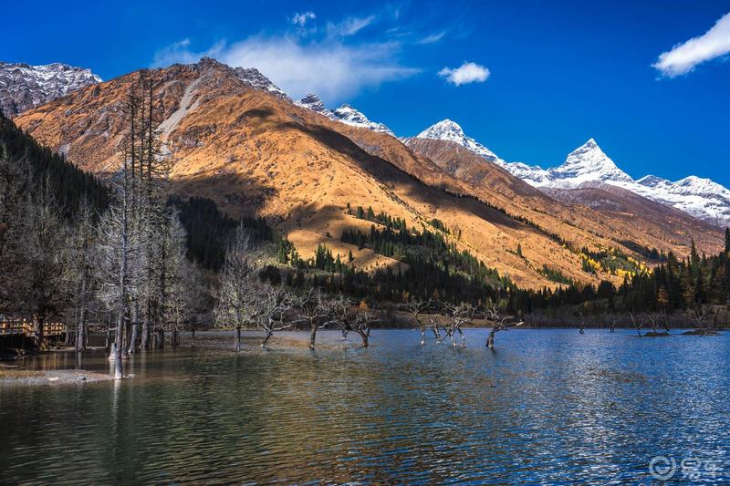 《迈腾在路上》四姑娘山，一道靓丽的风景线。