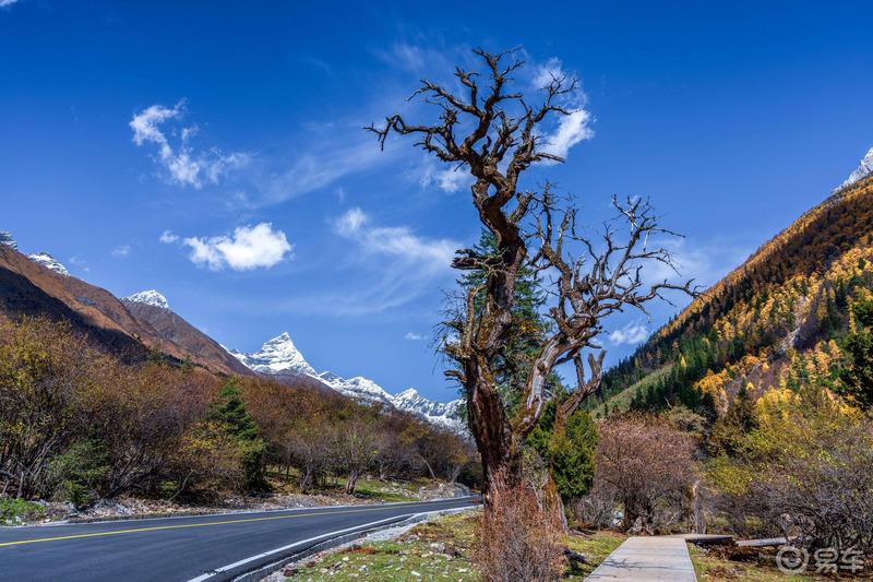 《迈腾在路上》四姑娘山，一道靓丽的风景线。
