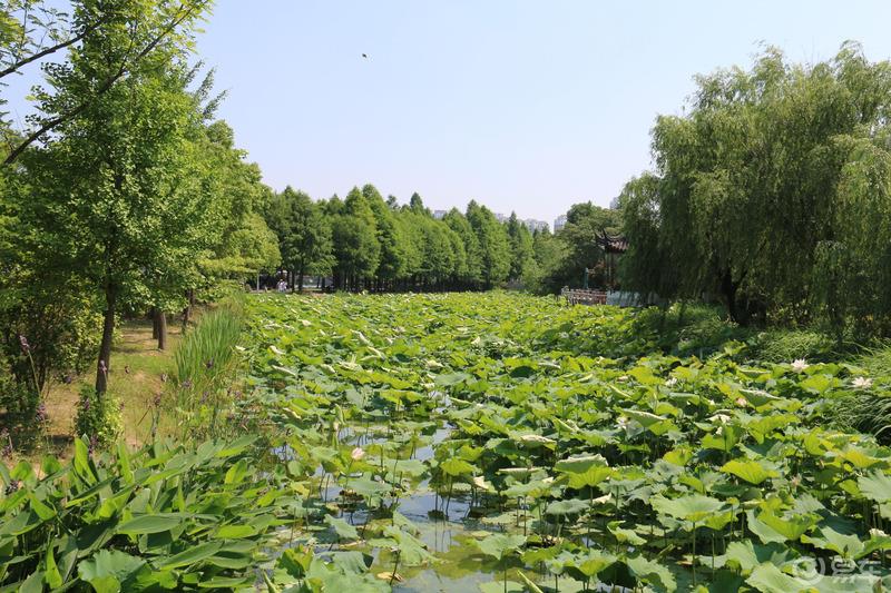 购车准备与亲子时光两不误，炎热夏季周末全纪录