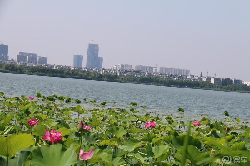 购车准备与亲子时光两不误，炎热夏季周末全纪录
