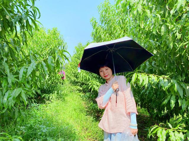 诗画唐龙-佳绝迪人；诗画汉龙-亚迪天下-友人自驾