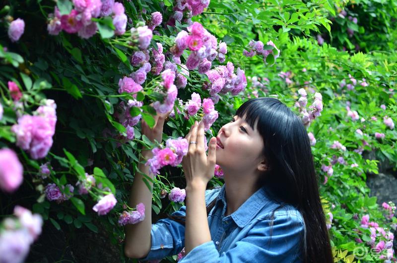 【李逍遥人像摄影】绍兴西园~蔷薇花之恋
