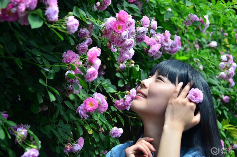 【李逍遥人像摄影】绍兴西园~蔷薇花之恋