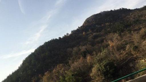驾美唐出游！从此生活乐滋滋