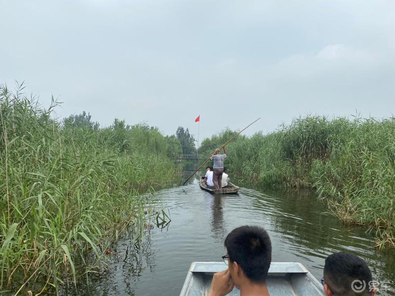 夏日炎炎，有你们超甜