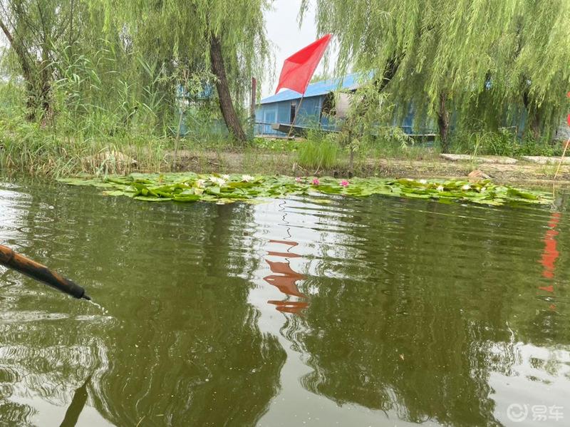 夏日炎炎，有你们超甜