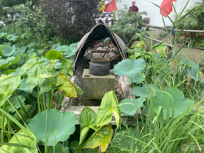 夏日炎炎，有你们超甜