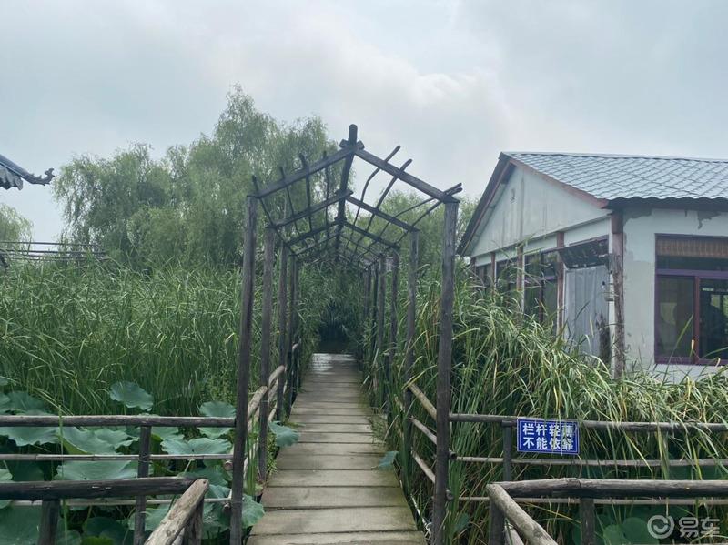 夏日炎炎，有你们超甜
