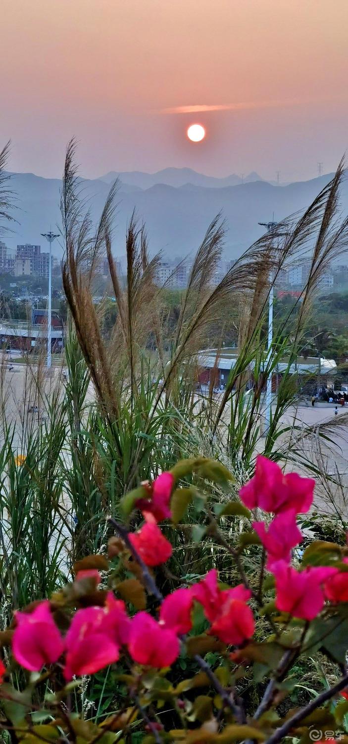 【手机拍风景2】海边拍日落 让日落的余晖留下美好的回忆
