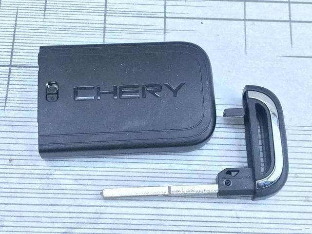 瑞虎8菏泽车友会成员：提车一周年使用分享，心有猛虎，细嗅蔷薇
