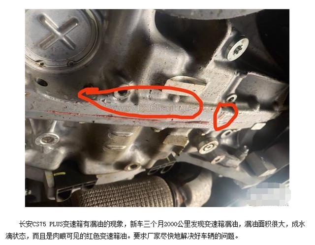 新手女车主自述购买第二代哈弗H6的原因 更智能更卓越