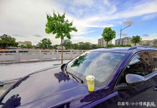 那一年的夏天