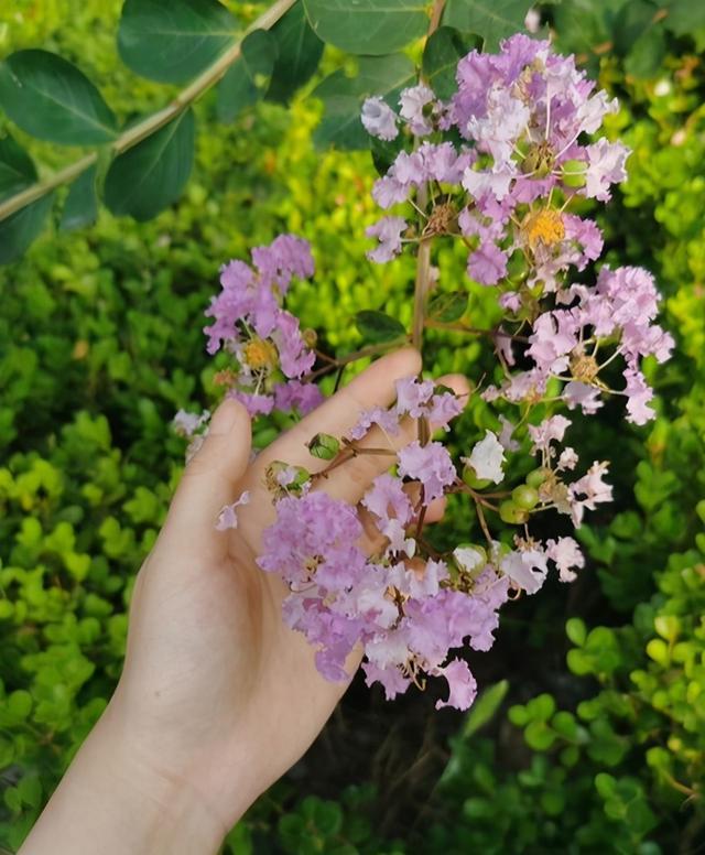 昂科威提车半年聊聊心得体会