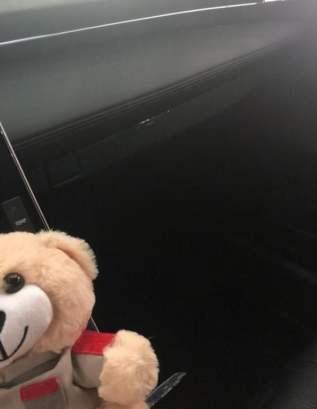 小姑娘买了丰田亚洲龙，开了1000公里后，车主说出了用车感受
