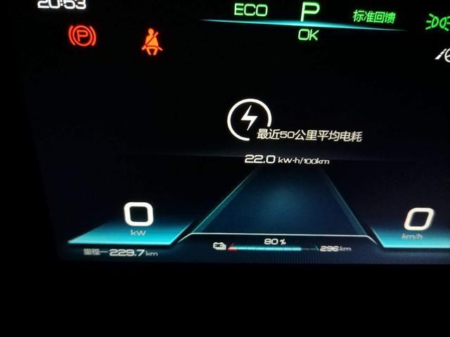 宋ProEV旗舰一年四万公里用车作业