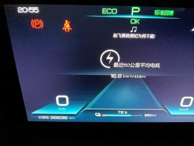 宋ProEV旗舰一年四万公里用车作业