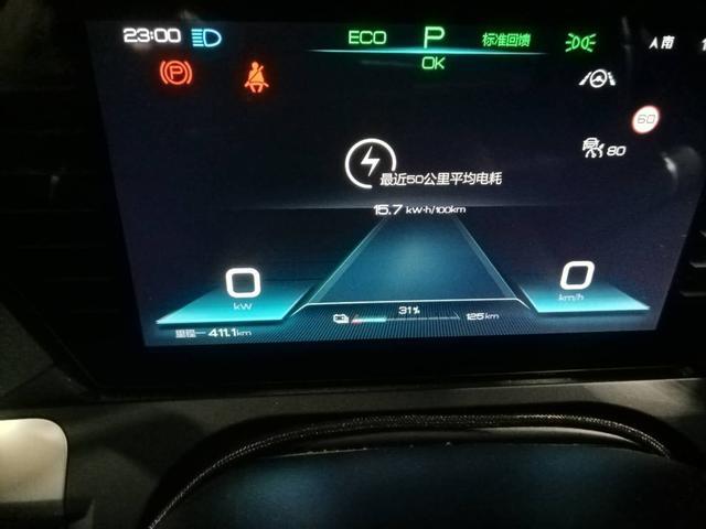 宋ProEV旗舰一年四万公里用车作业