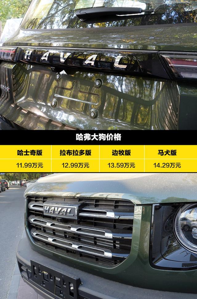 有人提了哈弗大狗，还是这么霸道的军绿色