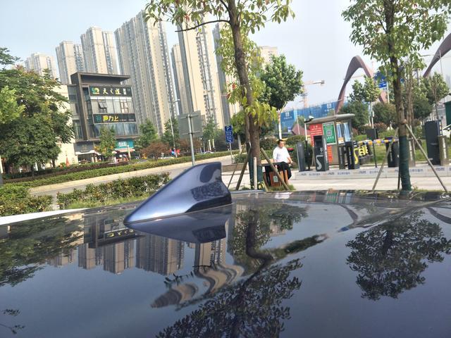与胡巴度过的2020年