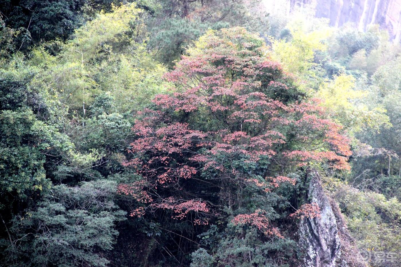 丹山碧水天地间，畅游其中意翩跹