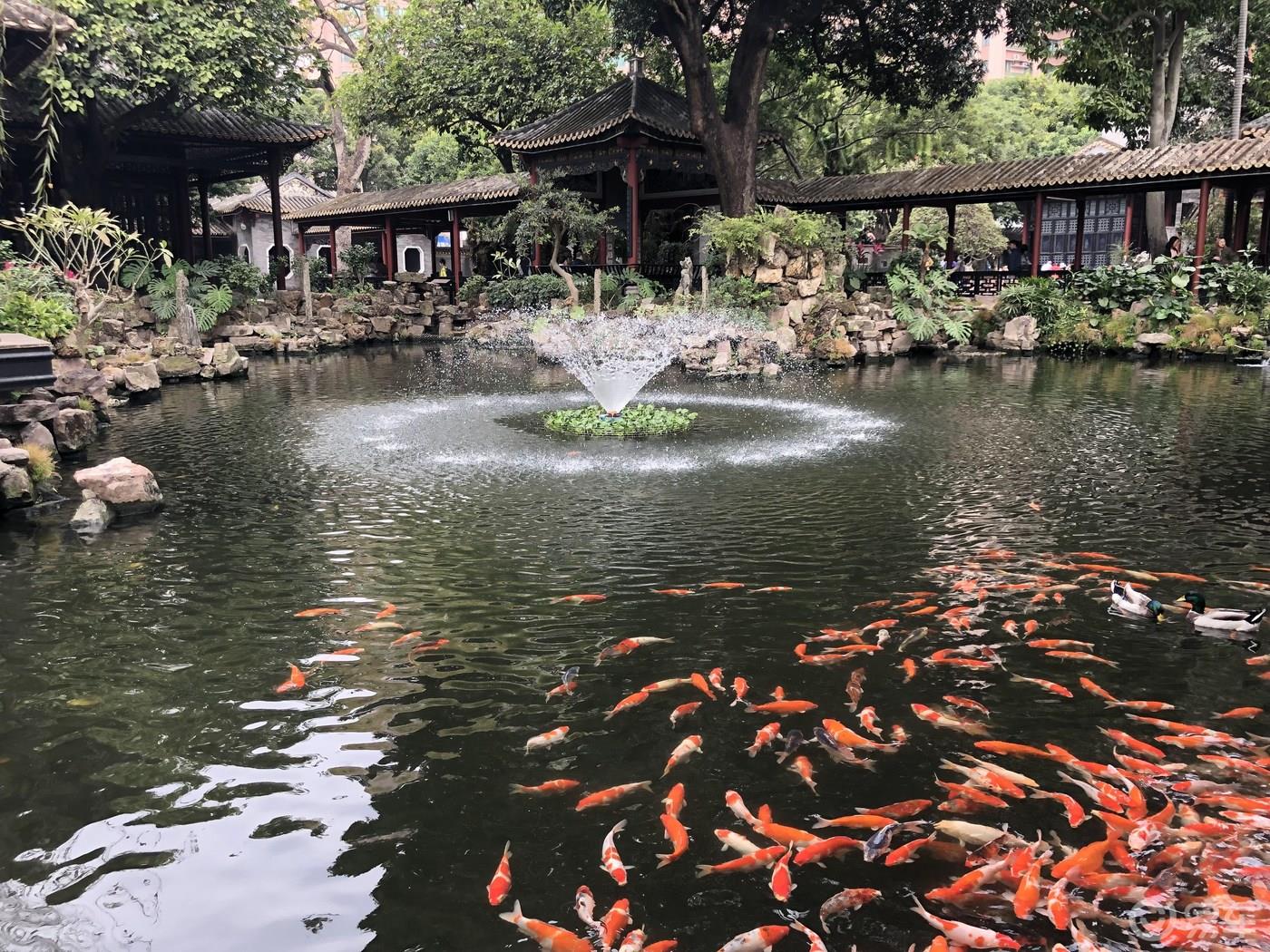 广东顺德清晖园游记