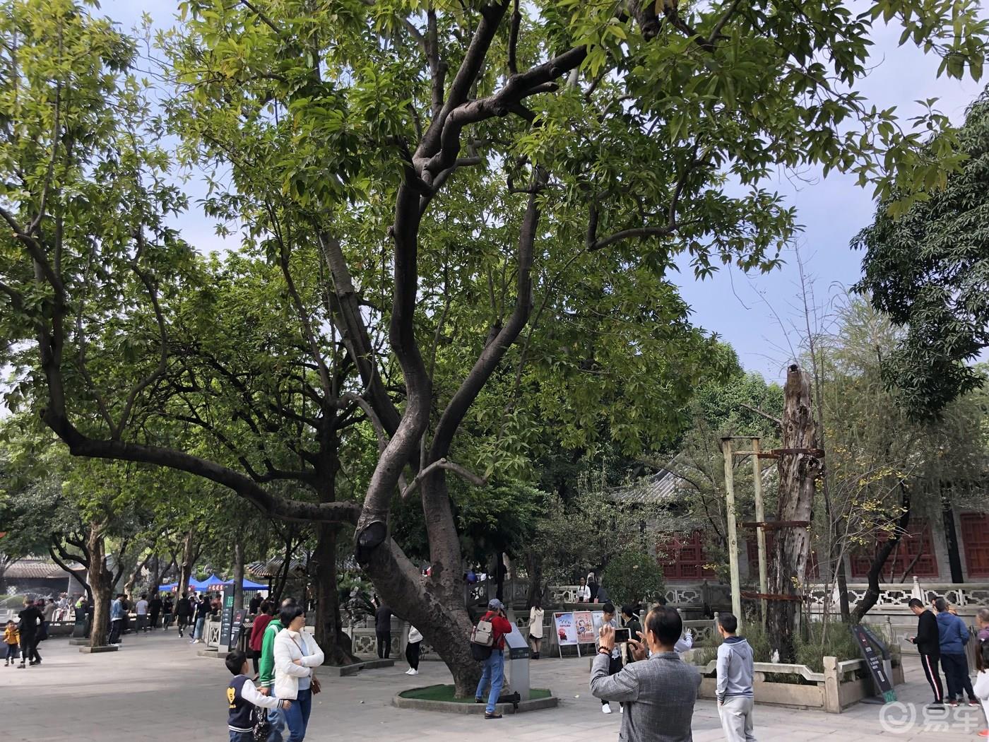 广东顺德清晖园游记