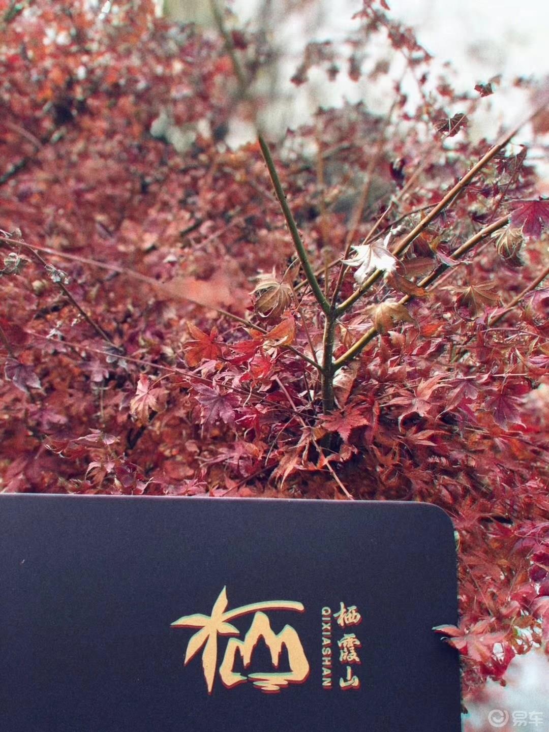 秦淮河畔，漫游南京
