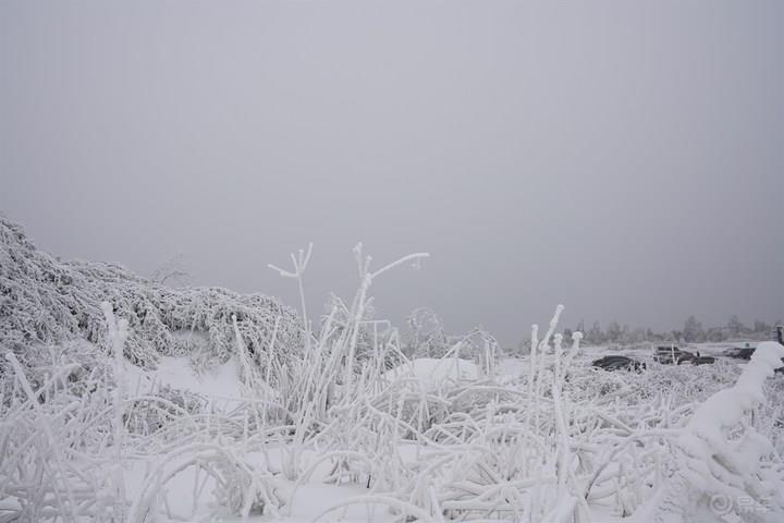 #乐驾新春#“大年初一、天上人间”安吉滑雪乐翻天。
