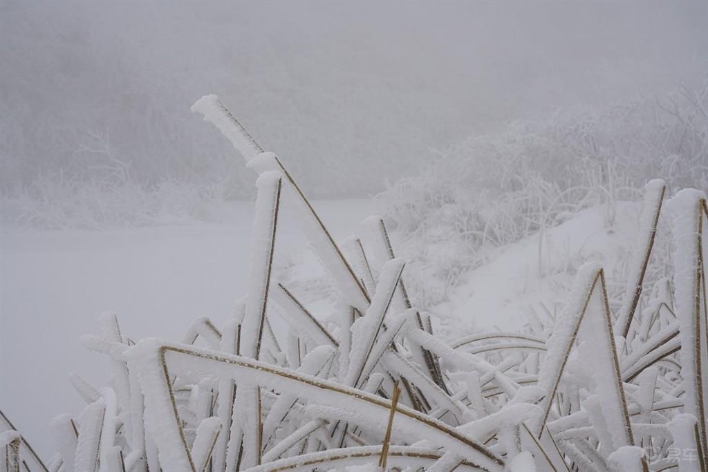 #乐驾新春#“大年初一、天上人间”安吉滑雪乐翻天。